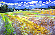 Oil seed rape crop has been cut, leaving a field of stubble in subtle colours.